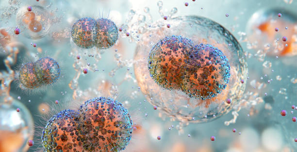 STD Testing / Treatment