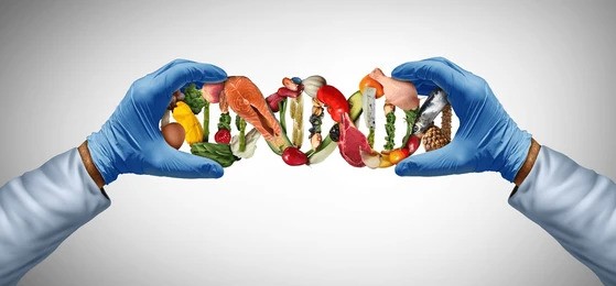 Nutrition Counseling